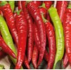 Paprika kozí roh pálivý " Beros "