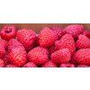 fruit 6969271 1920