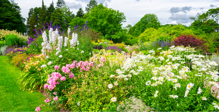 Veľký sprievodca: Ako navrhnúť kvetinovú záhradu s trvalkami a cibuľovinami