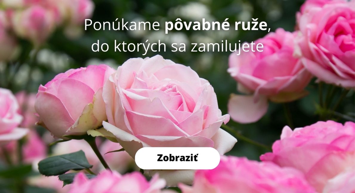 Ruze