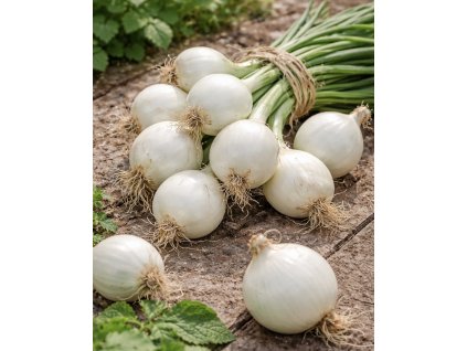 D5AA55B8 4299 4D42 9531 CEFC904088D4