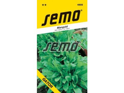 4905 semo zelenina mangold perpetual spinach gator 269x500