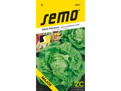 1574 1 salat jarni major 0 3 g