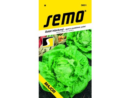 salat jarni major polni 0 3g