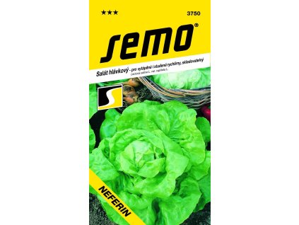 salat k rychleni neferin stud skleniky a fol 0 6g