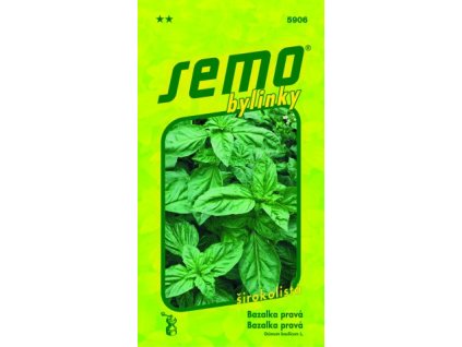 1607 1 bazalka prava dark green 1 g