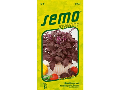 5907 bazalka purple opaal