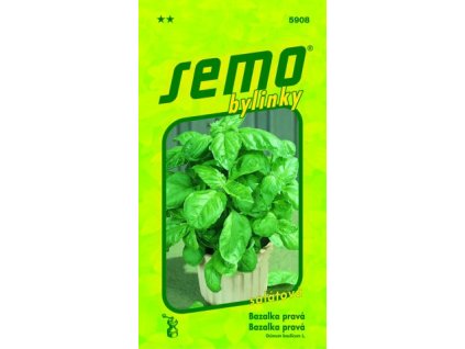 1613 1 bazalka prava lettuce leaf 1 g