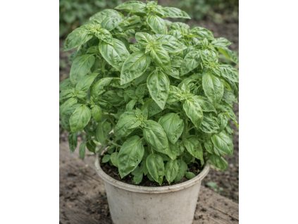 46795F4F E08F 4FC4 9C30 855FD1D3857C