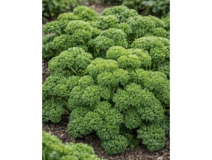 DF93683B 86B6 446D AA28 A28D4C2B5E10