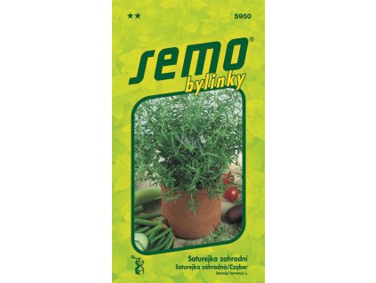 p1900334 01900334 1 1 536326