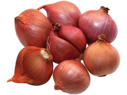 2408 1 salotka cervena sazecka 500 g