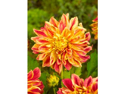 4745 jirina explosion 1 ks