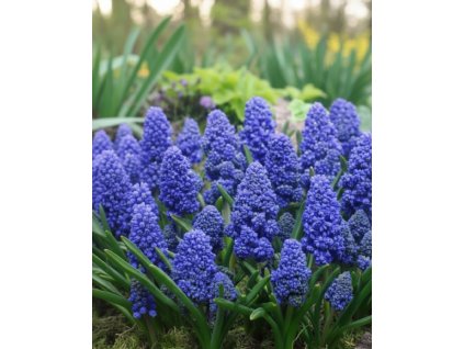 Generated Image November 12, 2025 9 24AM