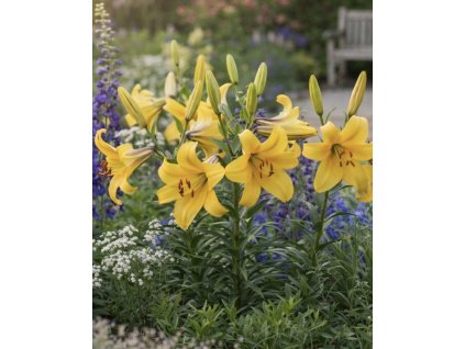 958F1577 AF91 4307 BDB0 104689CBCD87