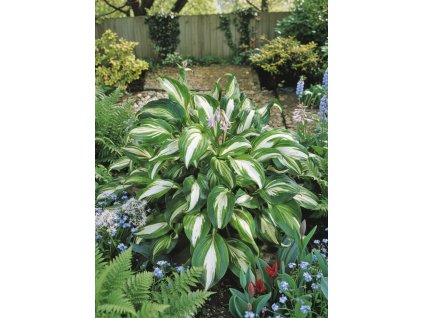 garden design 1769430529496