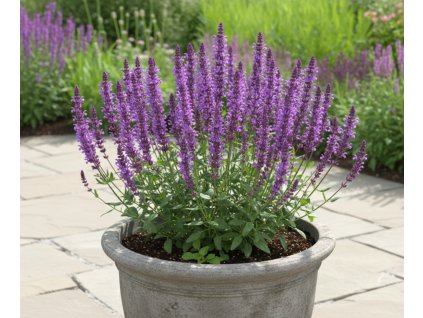 white bg result 2026 01 12T072031.768