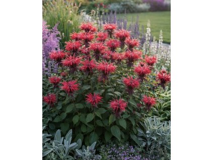 6FD0F8D5 98F9 40C4 B1E7 A08C05DFA871