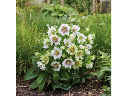 garden ai 1769503843535