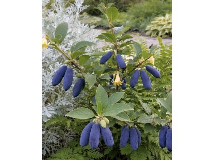 D1588A32 3F8A 4B9F AC11 7E56ECAB1BC3