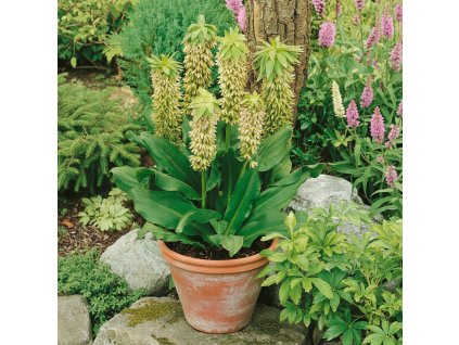 garden ai 1769604851720