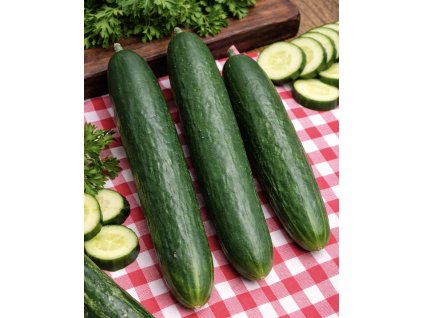 1EBC4FA4 5362 4B67 9321 6B7D24E7F145