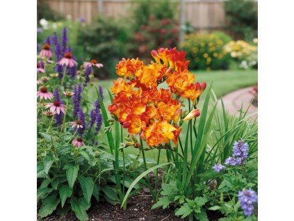 garden canvas ca81a792 1151 43ba b025 7068478de9f9