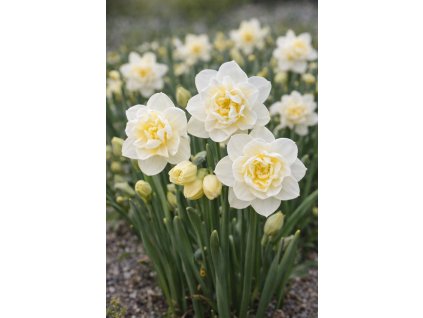 edb3db0d 3b9a 4e40 836a 663bf31cbdb6