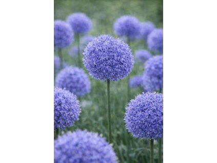 48d178c7 4f1e 457c b89d e633e040aa57