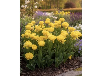 A4D3EA7B D837 4097 9065 AB0C7669CF79