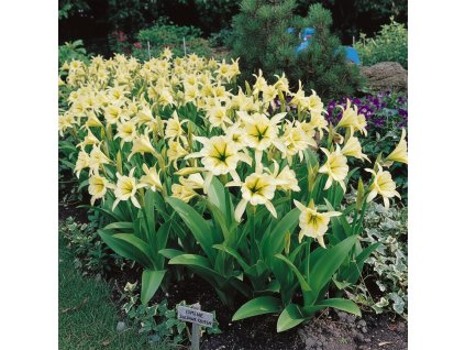 garden ai 1769606770754