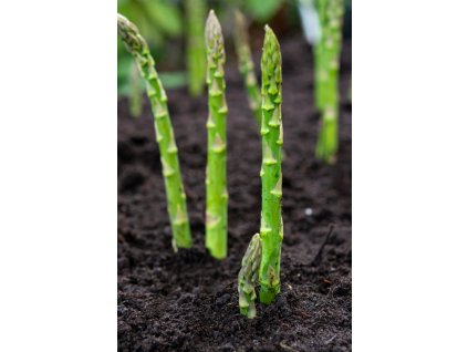 iStock 1203572106