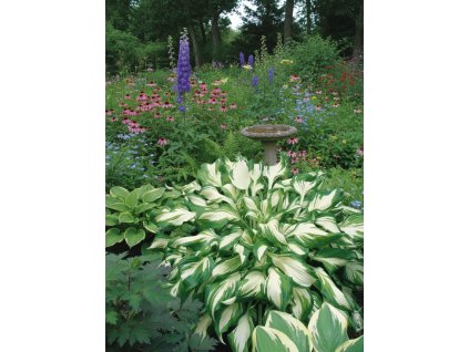 garden design 1769431692064