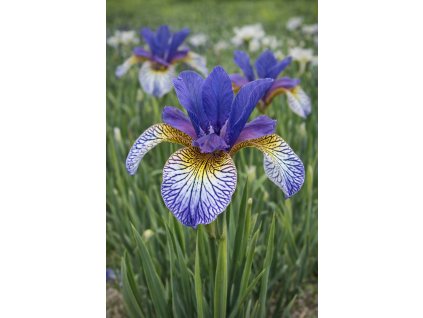 7183e94f 54fb 4fff a969 7c28eb5abf5f