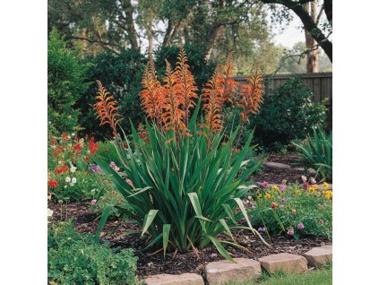 garden ai 1769604502639