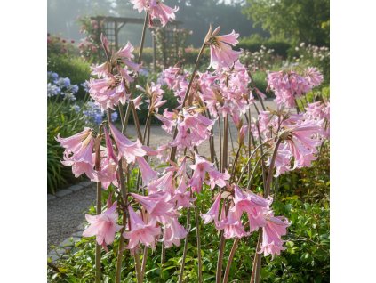 botanical 1769165432293