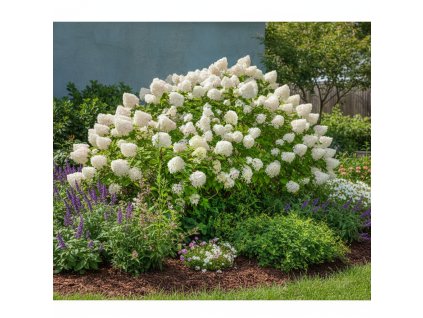 garden 1769594707425