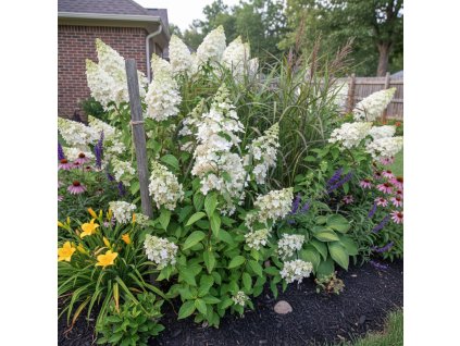 garden 1769594556752