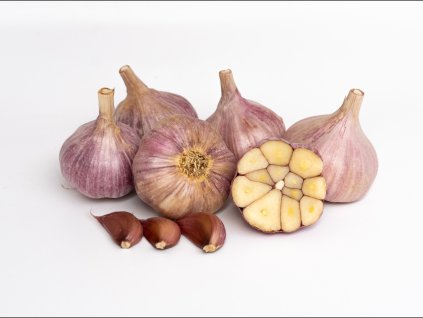 f0c84648 683f 40c3 88bf 6393e2921452