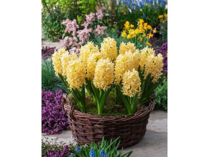 Generated Image November 12, 2025 10 13AM