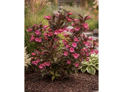 99EA6B5F 34EE 4F75 B0DF 09EE688B7080