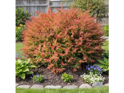 garden canvas f80fce30 91a5 472f bbce 6a754c6fc6eb