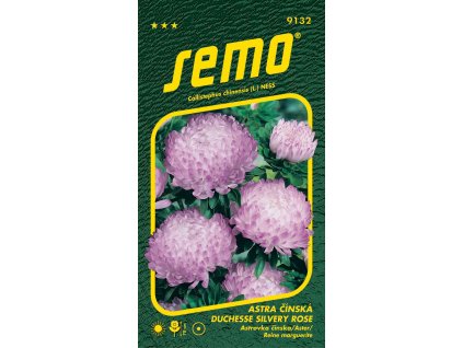 astra cinska duchesse silvery rose 0 5g