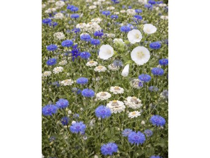 8D6E3FB6 86B1 4546 921E 67C83EF5C3CD