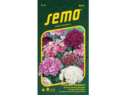 hvozdik bradaty smes 0 5g