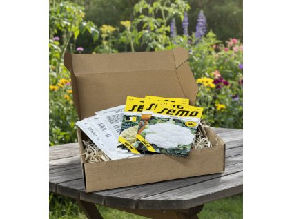 white bg result (59)