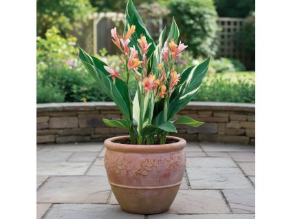 garden background 1769516558560