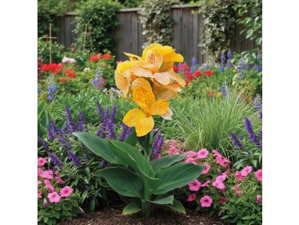 garden background 1769518680403