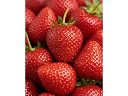 Generated Image November 11, 2025 7 59AM