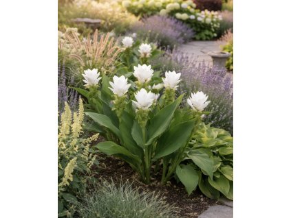 06869556 5BA5 4E41 865F BBCC72D6266E